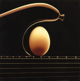 Balance-egg-on-guitar