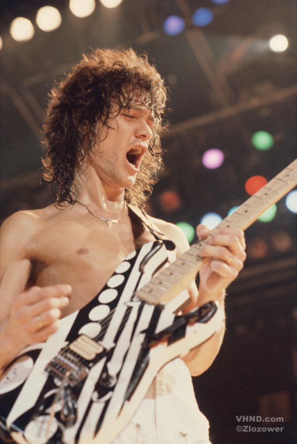 EVH_Cirles_guitar_3